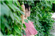春暖性吧